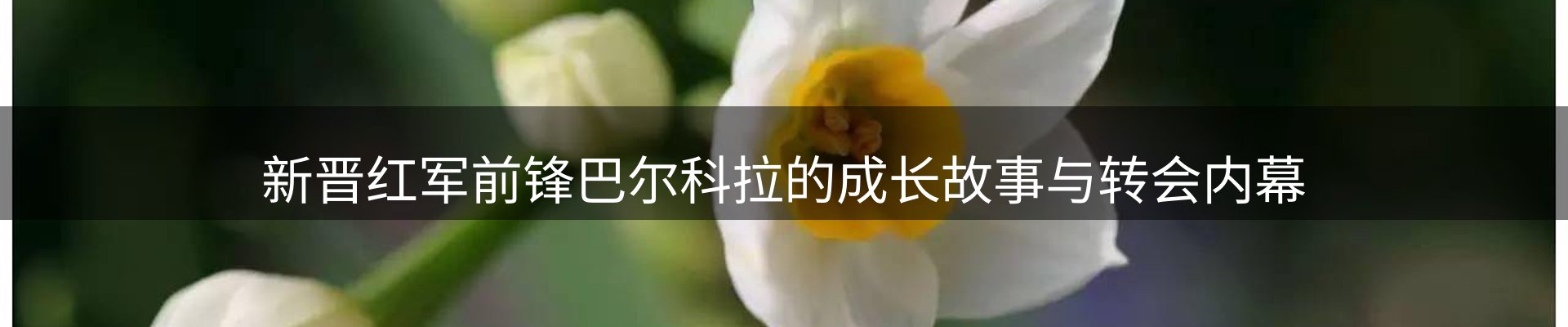 新闻看台