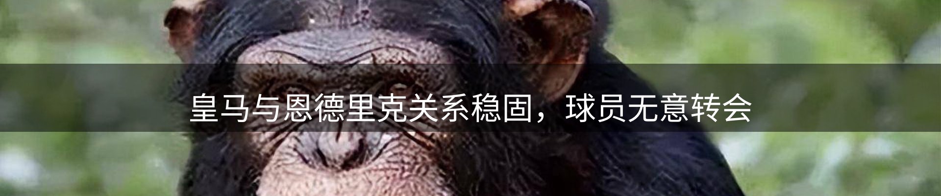新闻看台